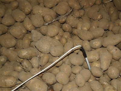 Ventileer vanaf dag 1